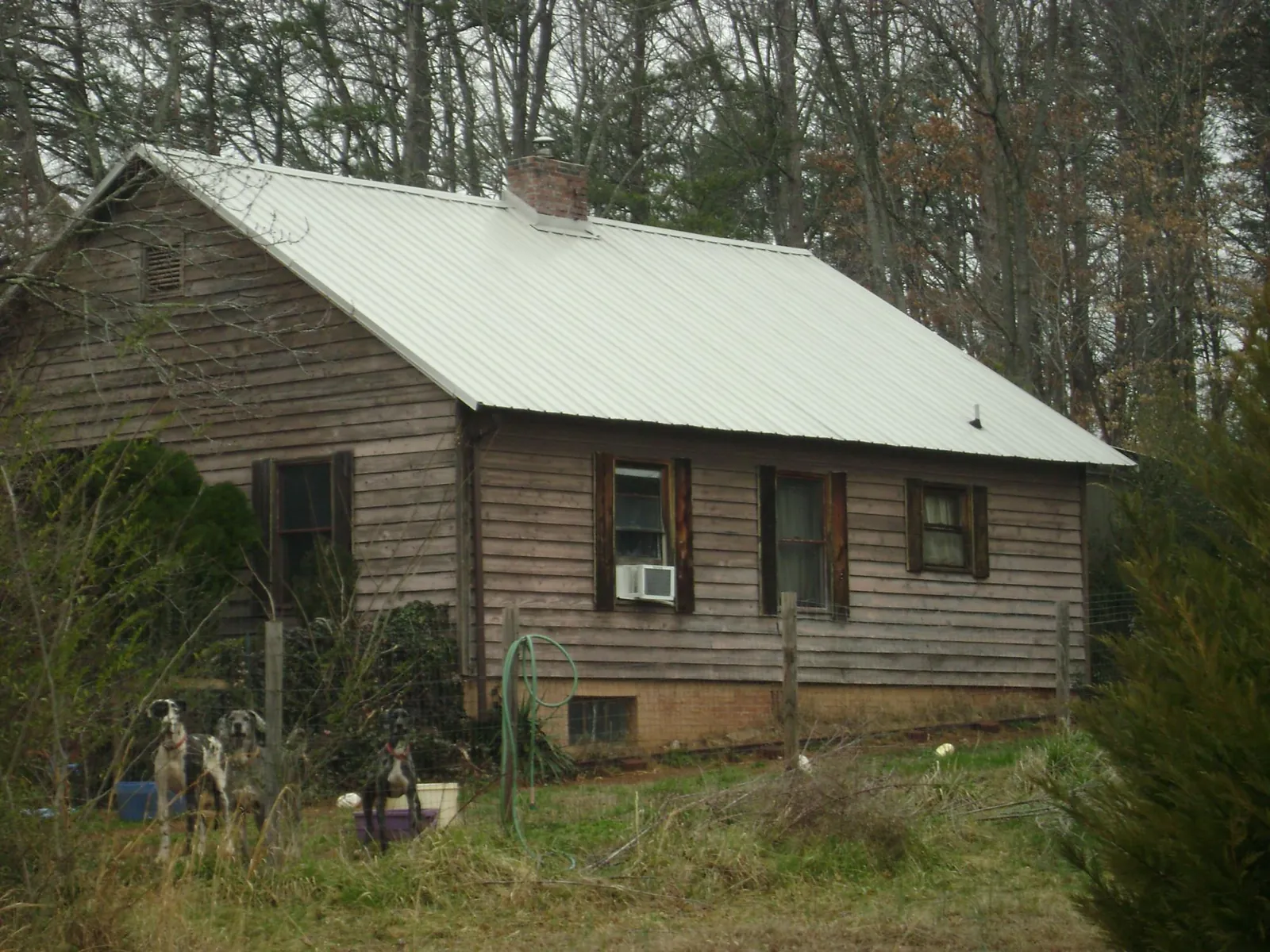 White metal roof on an old wood sided farmhouse, from a Asphalt Shingle Roof Repair job in Forest Park